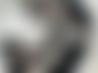 Pro Breeder Answers: Is the Second Litter of Puppies the Best?