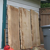 characteristics_and_value_of_catalpa_3.j