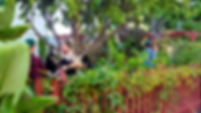 Friends gathering in our garden image