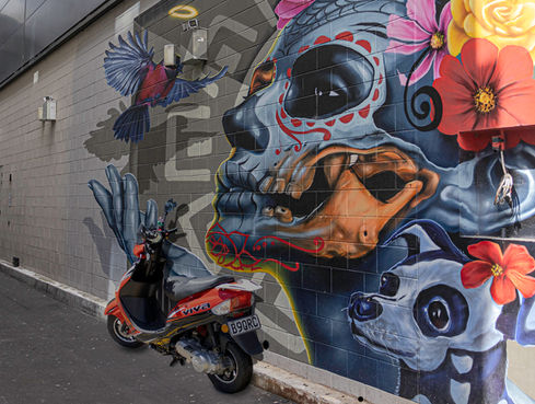 Christchurch Laneways