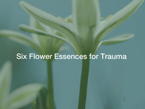Trauma