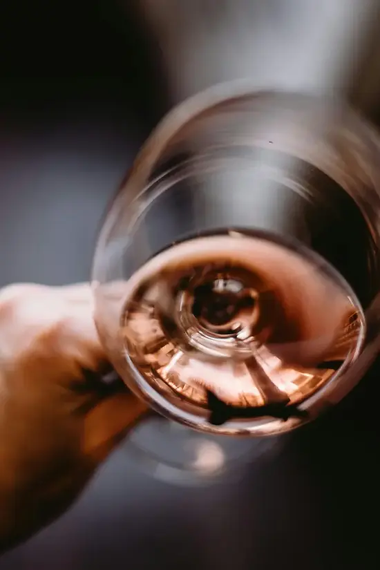 person holding glass of rose wine .webp