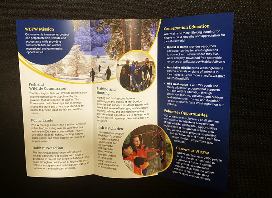 Screenshot 2024-12-10 214646.jpg