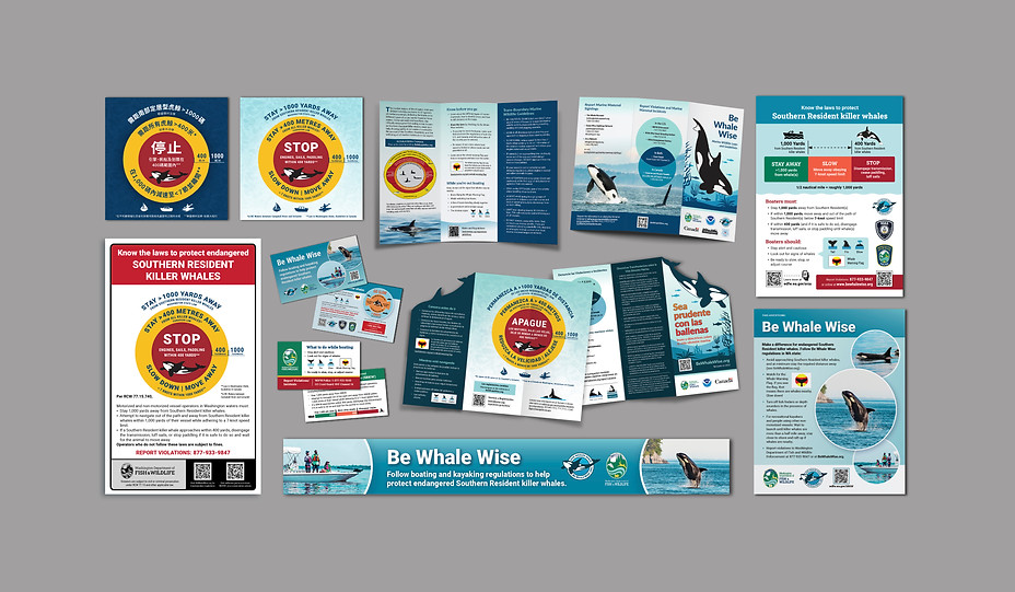 be whale wise pics all.jpg