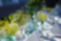 party-3655712_1280.jpg