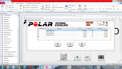 polar13