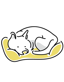 y1058.png