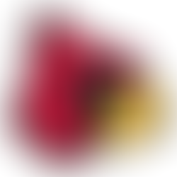 Website Transition