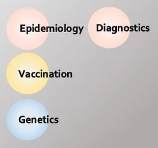 Porcine reproductive and respiratory syndrome (PRRS): looking back and looking forward, what do we see?