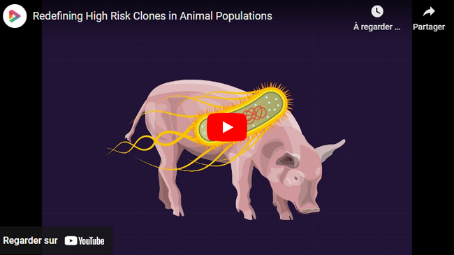 Redefining High Risk Clones in Animal Populations