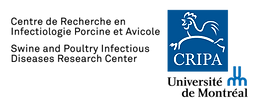 Logo CRIPA UdeM (2).png