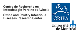 Logo CRIPA UdeM (2).png