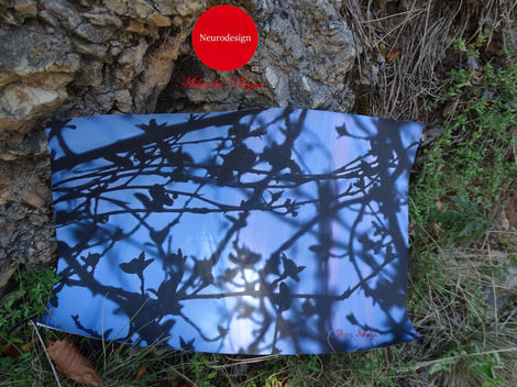 Blue and black photograph on the Peak of Success from the Neurodesign' Mountain of Success.