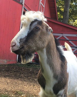 Xj5nxpF-0!largestimage?MaxSize=ImageSize