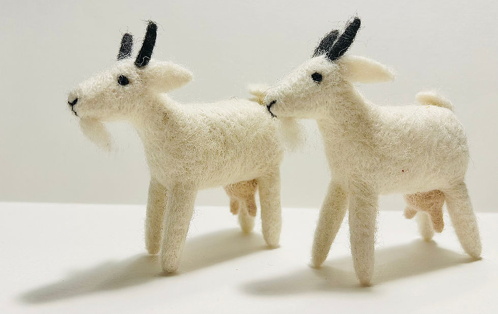 Miniaturbild: Ziege