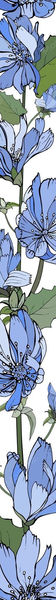 floral-vertical-border-with-blue-flowers-chicory-green-leaves-white_528213-770.jpg