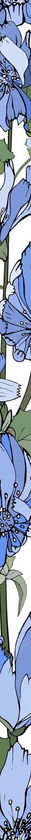 floral-vertical-border-with-blue-flowers-chicory-green-leaves-white_528213-770.jpg