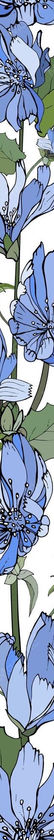 floral-vertical-border-with-blue-flowers-chicory-green-leaves-white_528213-770-1.jpg