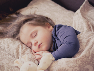 Volume 1 Issue 3: Sleep