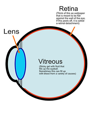 Diagram of normal eye