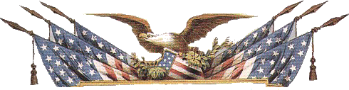 eagle-flag.gif