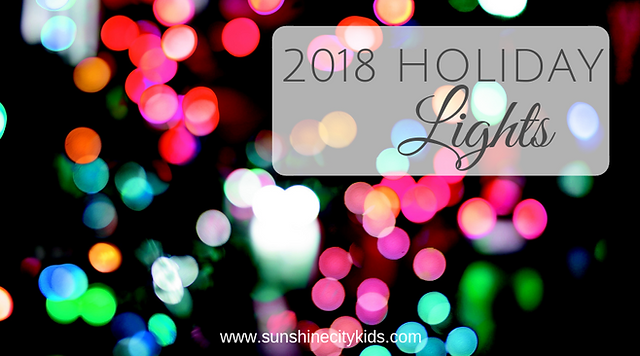 St. Petersburg Christmas Holiday Lights