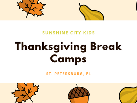 Thanksgiving Break Camps in St. Petersburg