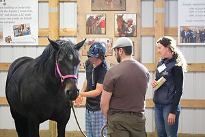 educational programs for schools calgary
