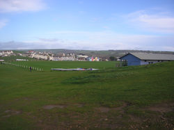 Bude Downs
