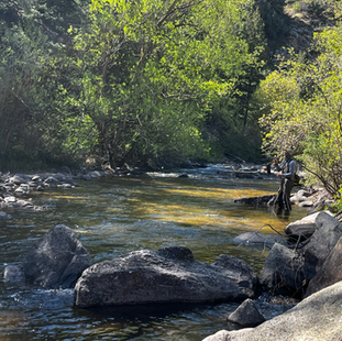 5/2/2026: Boulder Creek