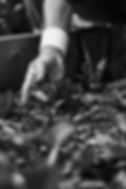 farm pic1BW.jpg