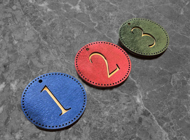 Mazais čempions: sasniegumu medaļa