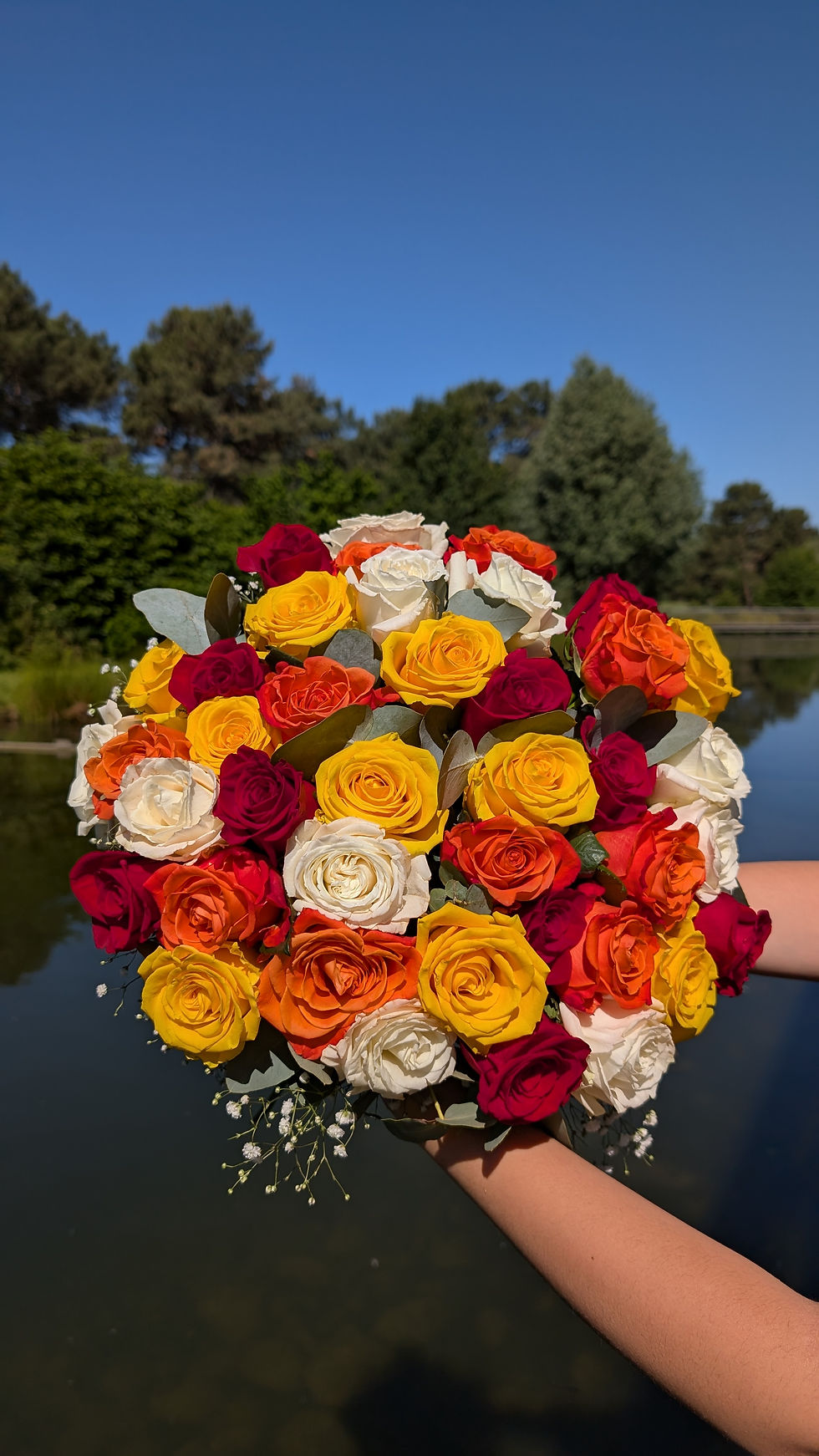 PXL_20250517_090512256