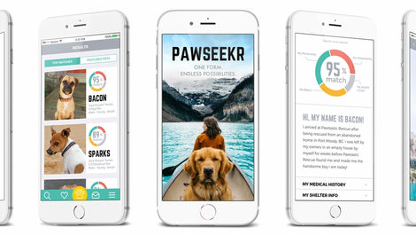 PawSeekr mobile screens