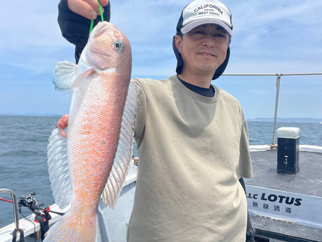 まだまだ好調続いてます😄