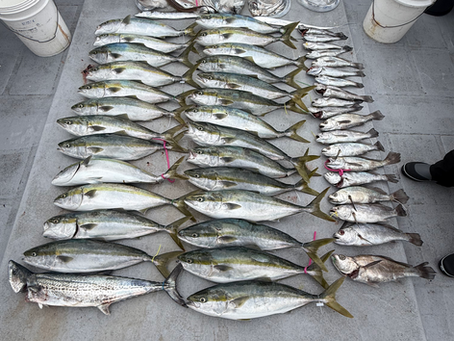 10月5日の釣果です🐟