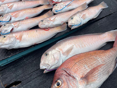 明後日までのご予約について