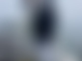 鰤鰤鰤鮃落とし込み最高‼️