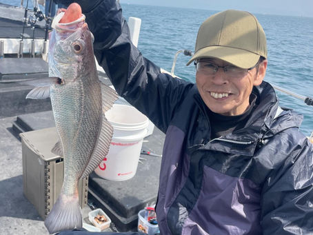 上向き調子になってきました‼️