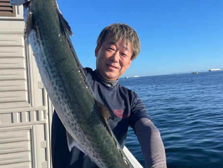 連日鰤に鰆鰆鰆!!!タチウオも大爆釣🎣