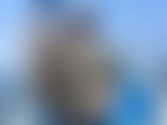 鰤にヒラメに白甘鯛釣れてます🐟