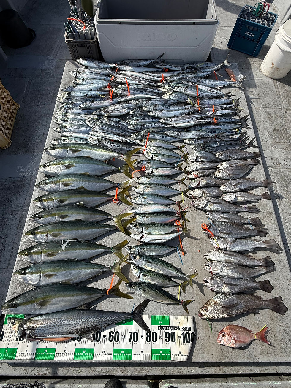 大大大爆釣‼️入れ食い過ぎました🤣