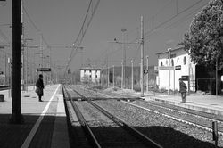 70345058_10214841700372633_4386657091058