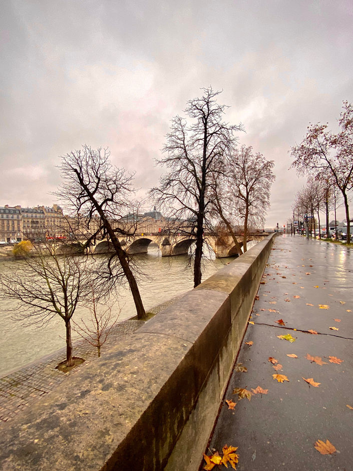 Across from the Louvre on a rainy day