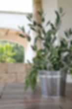 Villa Nisapirò - Casa vacanza | Sannicola | Gallipoli | Lecce | Salento