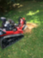 Tree Removal