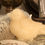Thumbnail: Bird Beeswax Candle