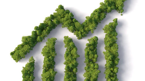 The Importance of Financial Quantification of Climate Risk