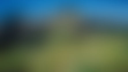 Banking for Nature: Preserving the Natural Wealth of our Earth 