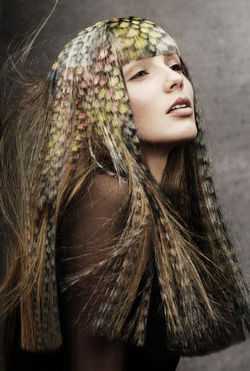 5b0094102b8b6714fea902d03b303b92